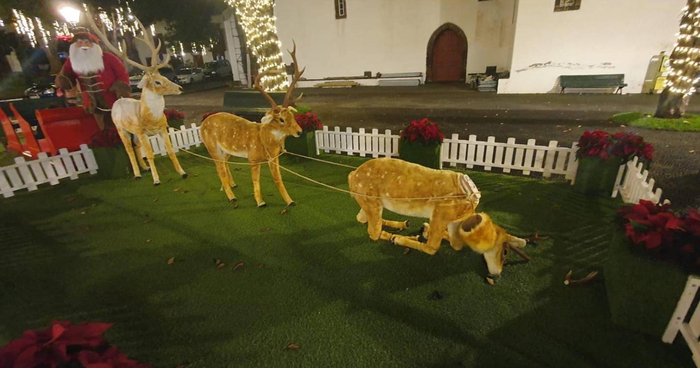 Mais uma rena danificada em Santa Cruz