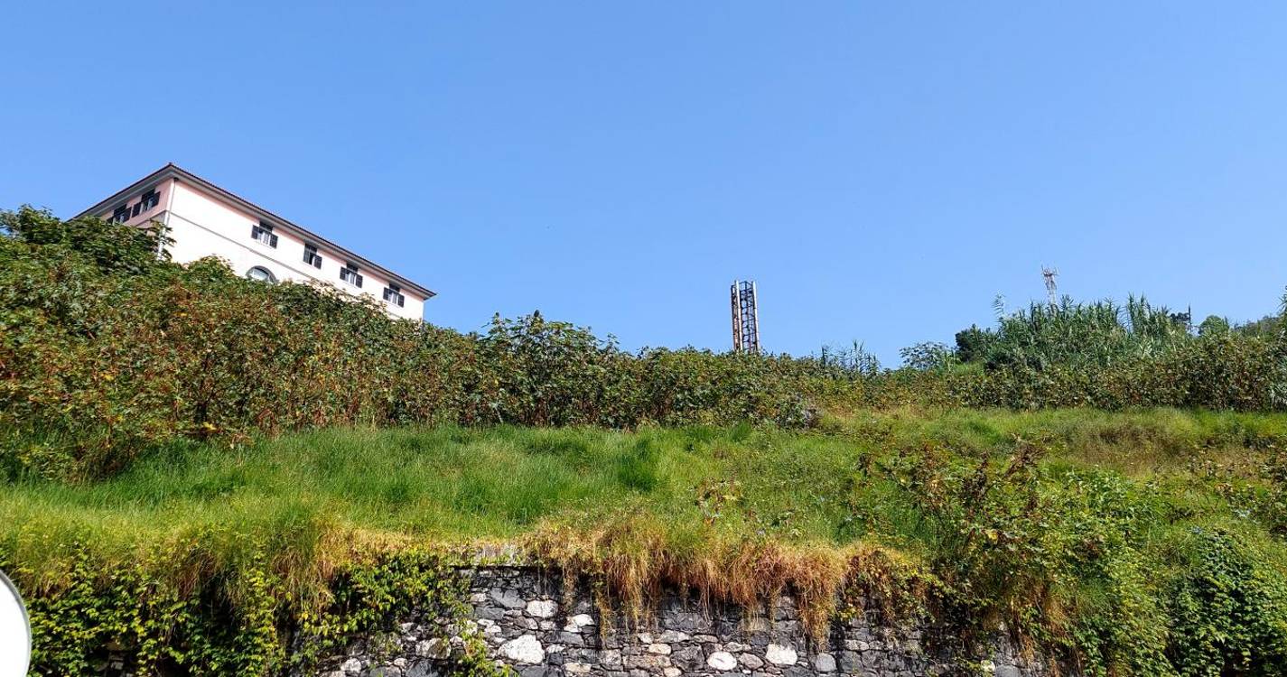 RIR alerta para falta de limpeza de terrenos junto ao Hospital dos Marmeleiros
