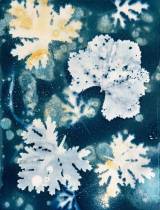 A Galeria Anjos Teixeira inaugura exposição “CYAN”