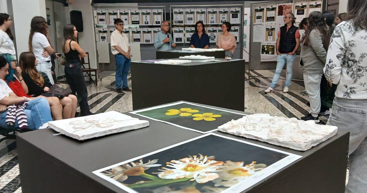 Exposição sobre espécies endémicas ameaçadas na Casa da Luz até 19 de junho