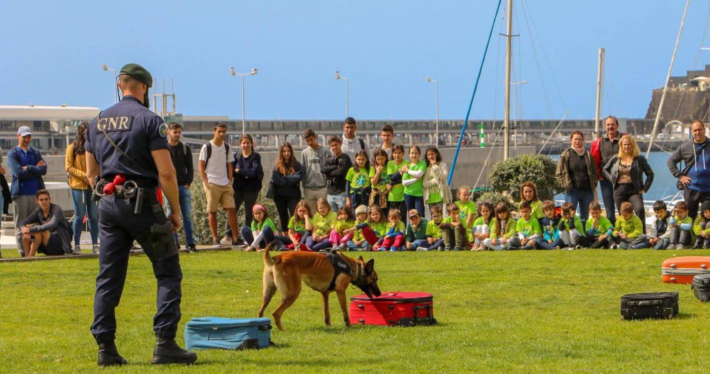 Proteção Civil promove exposição com novidade especial para os mais novos