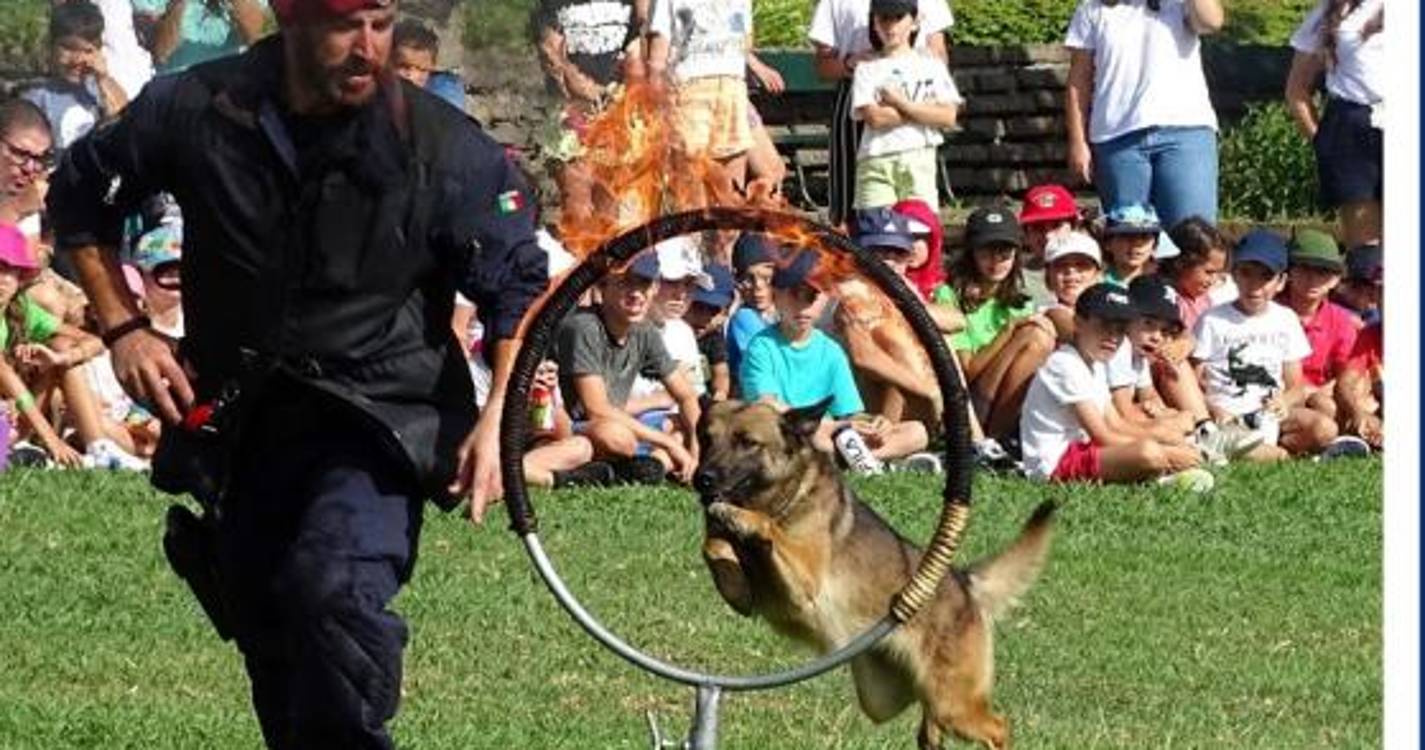 PSP promove demonstração de meios entre 5 de julho e 9 de agosto