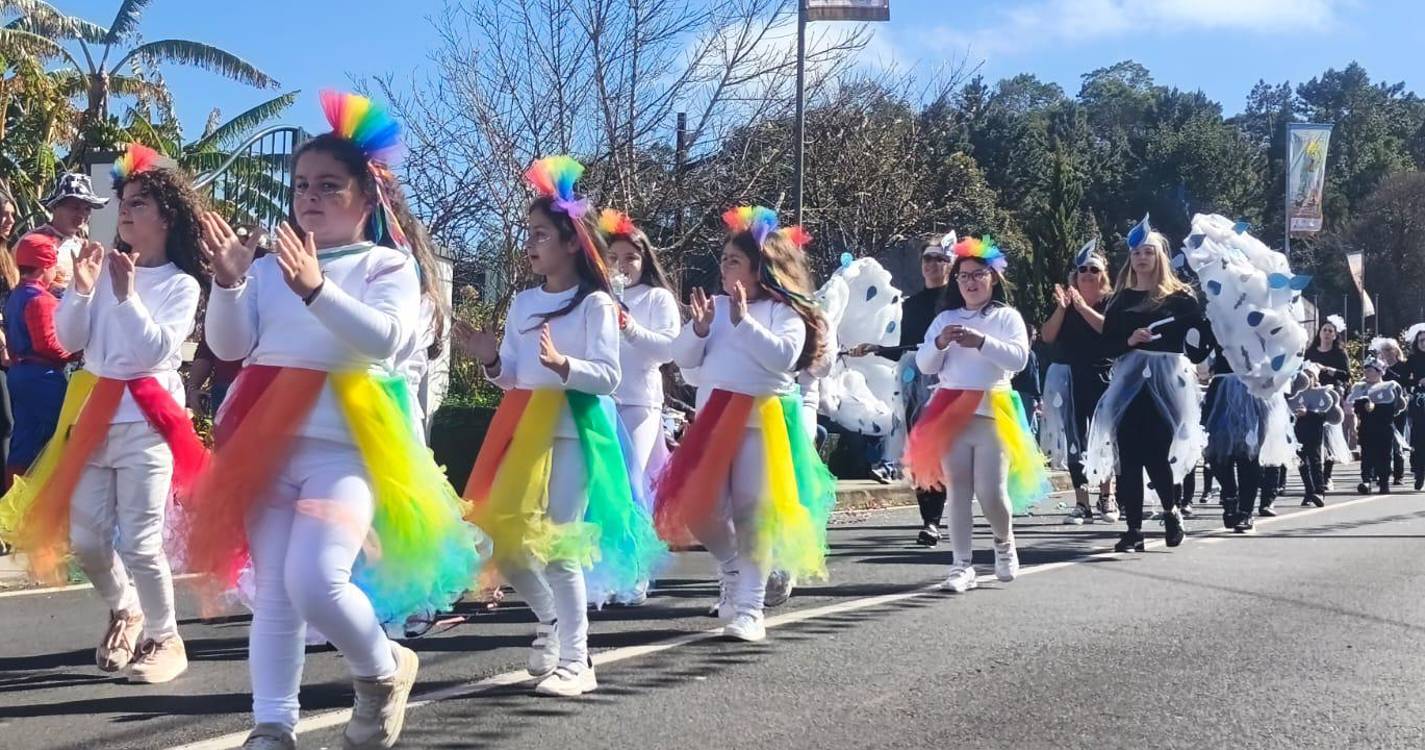 Cortejo da Festa dos Compadres está a encantar madeirenses e turistas (com fotos)