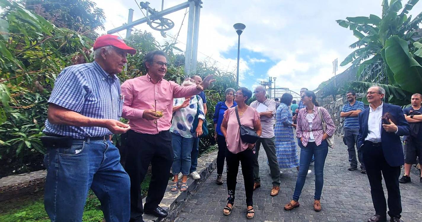 Formação sobre mangos reuniu 40 técnicos e produtores