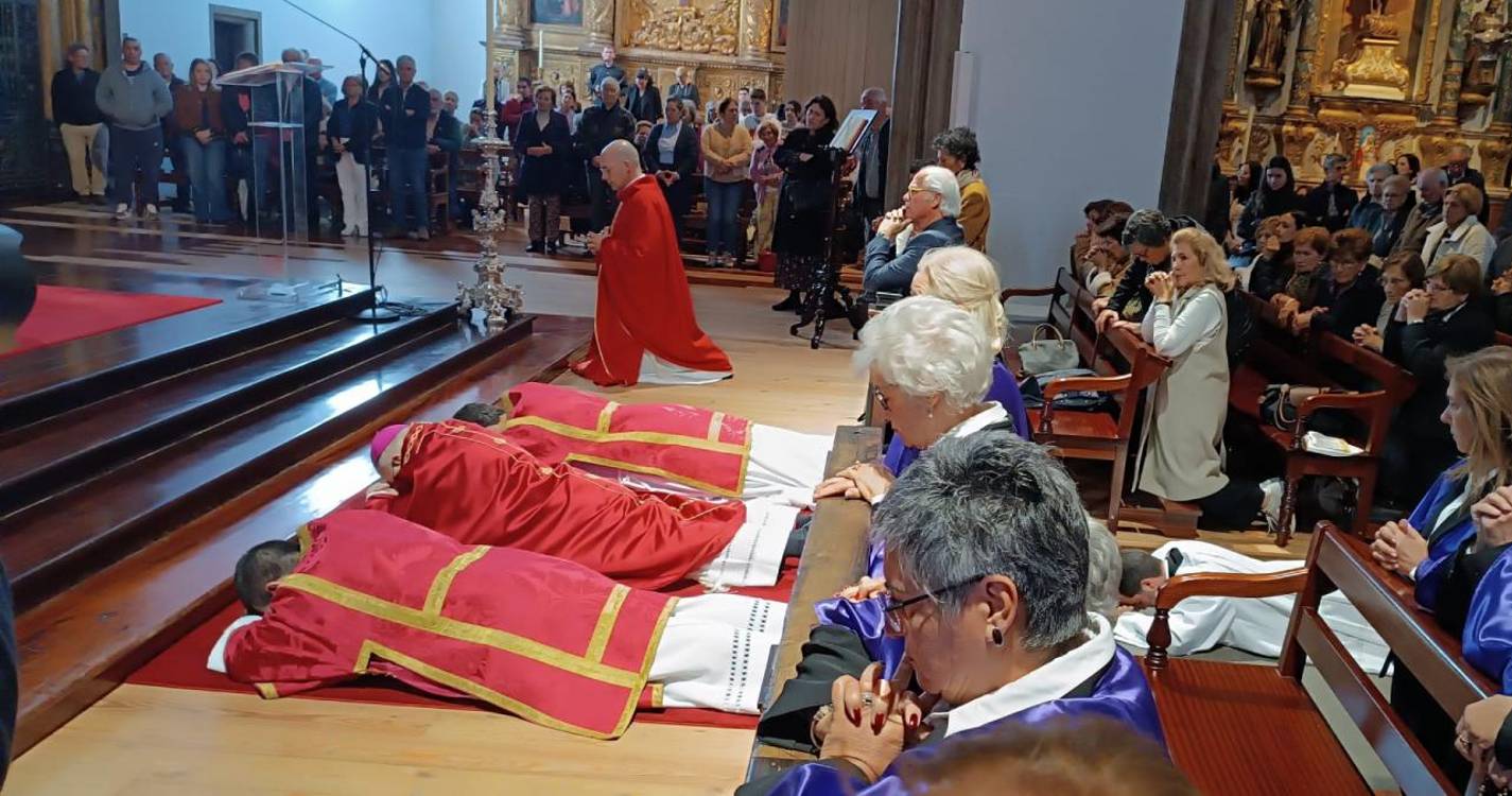 “Ali se encontra o grito da humanidade de hoje: o grito das guerras”