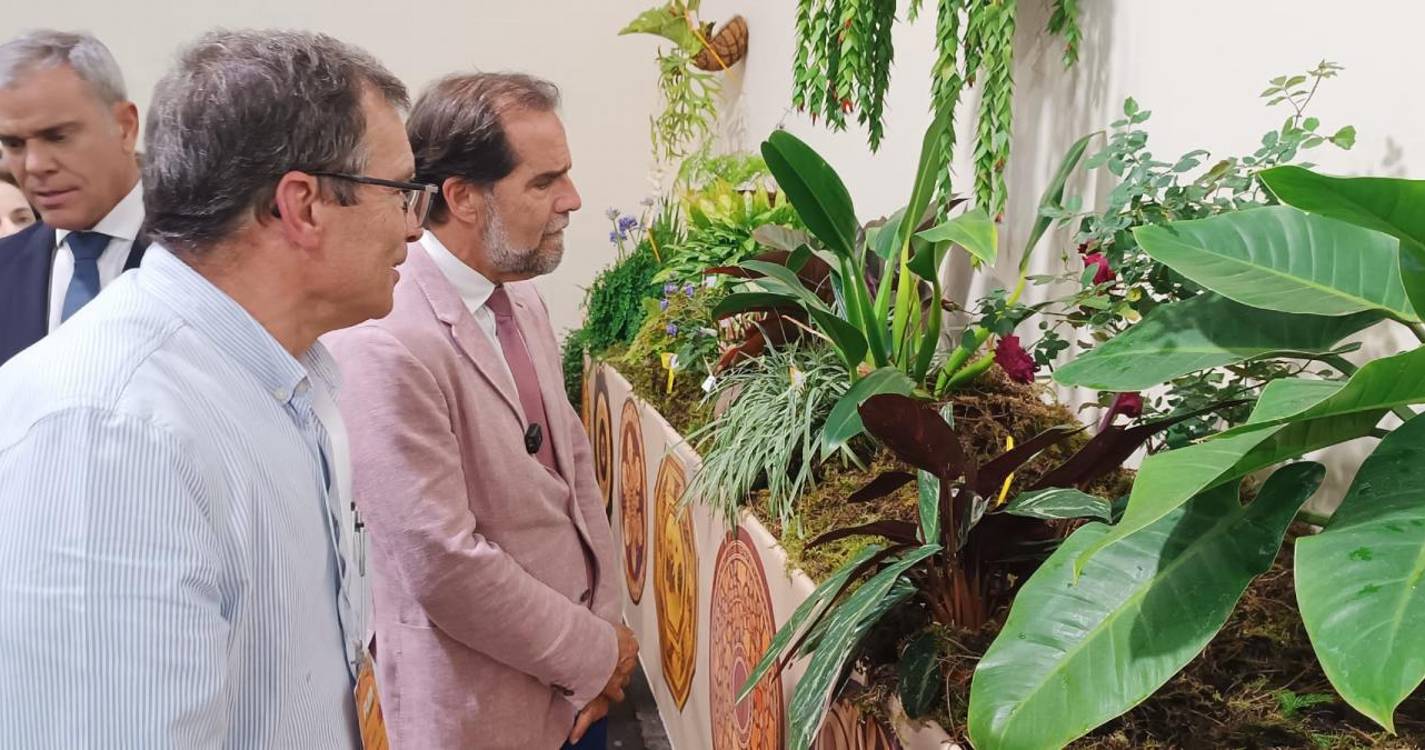 Exposição da flor já está aberta (com fotos)