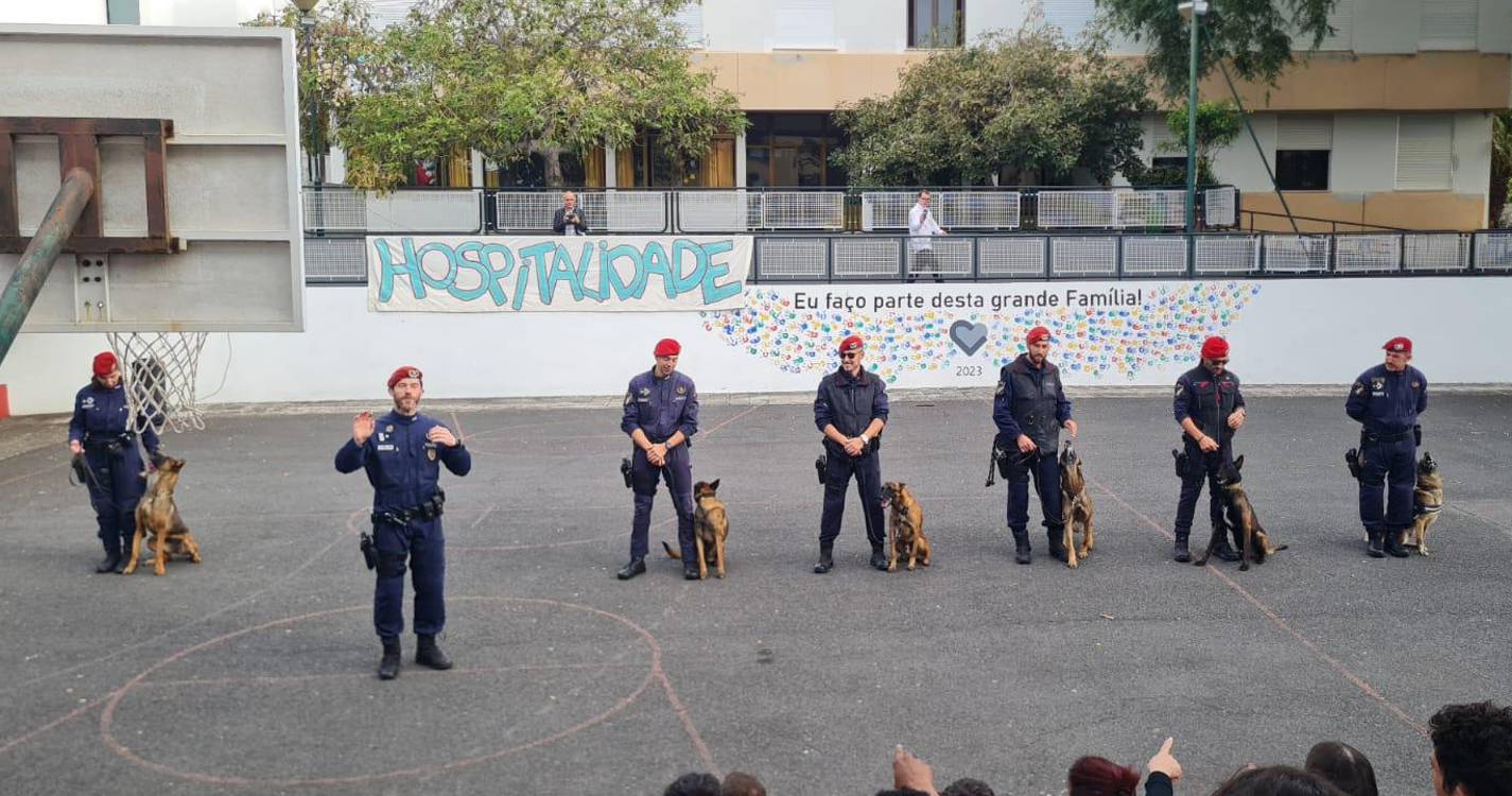 Centro de Reabilitação das Irmãs hospitaleiras recebeu demonstração dos cães da PSP