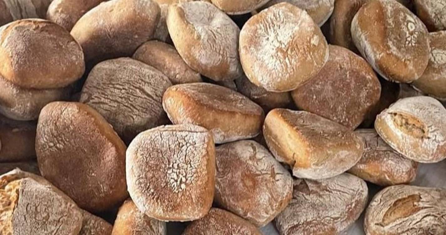 CDISA promove iniciativa que sensibiliza para a produção e consumo de produtos regionais