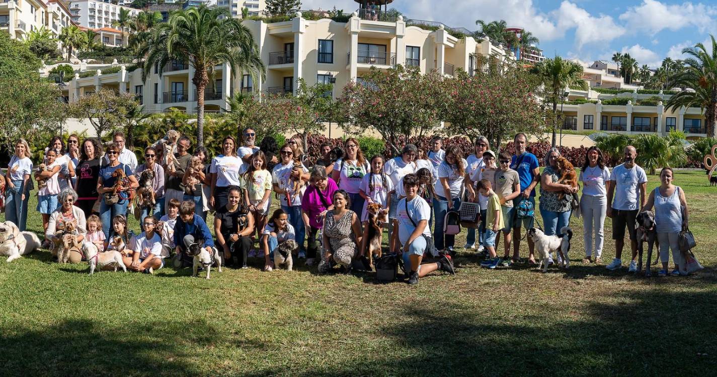 Funchal assinalou o Dia Mundial do Animal e do Médico Veterinário