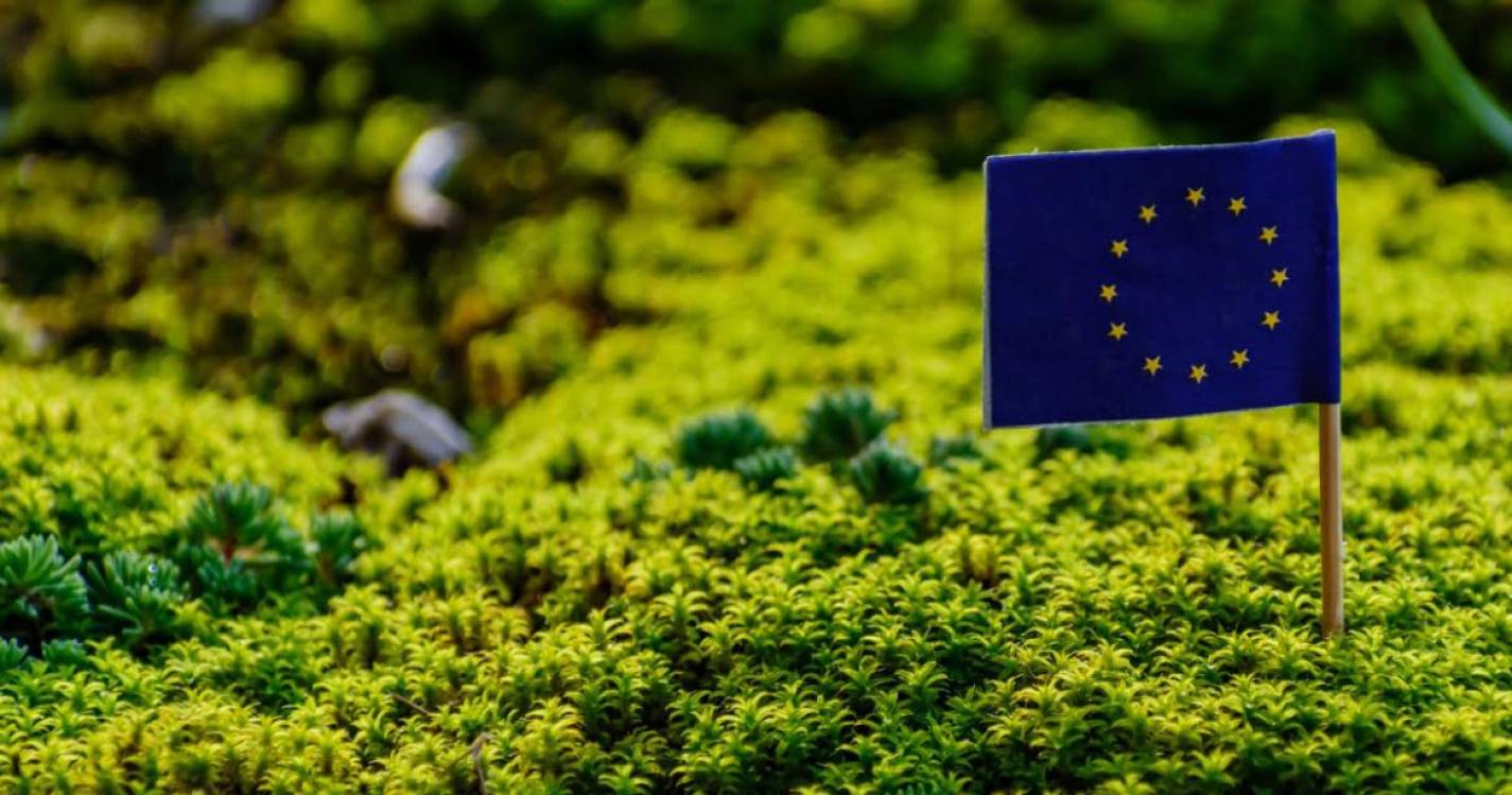 Ambientalistas aplaudem novas regras europeias contra branqueamento ecológico