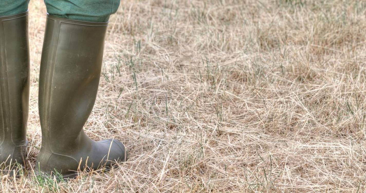 Seca: Associação vai ativar plano máximo de contingência para agricultura de Silves, Lagoa e Portimão