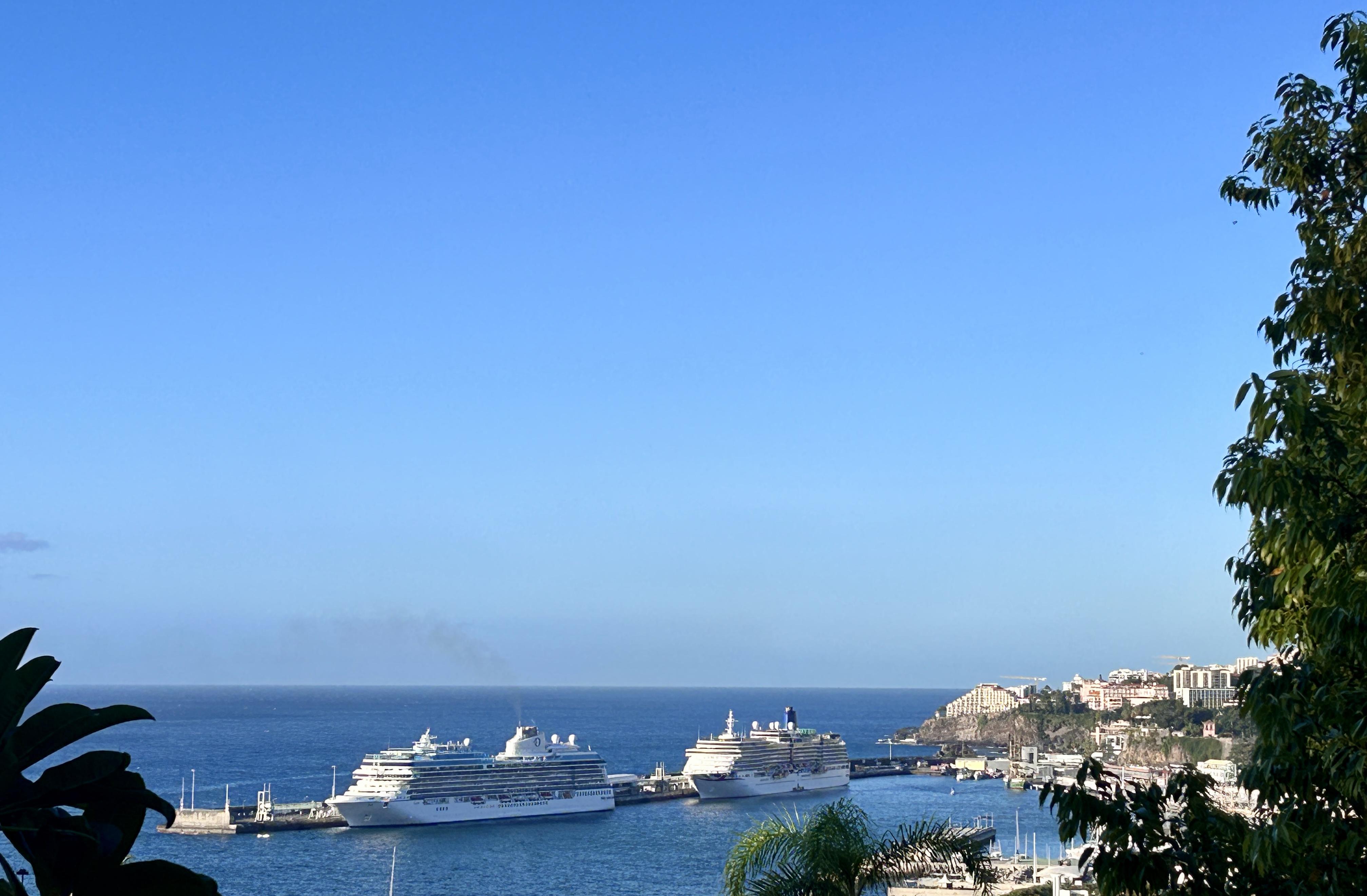 Cruzeiro Vista traz mil passageiros para passar o domingo na Madeira