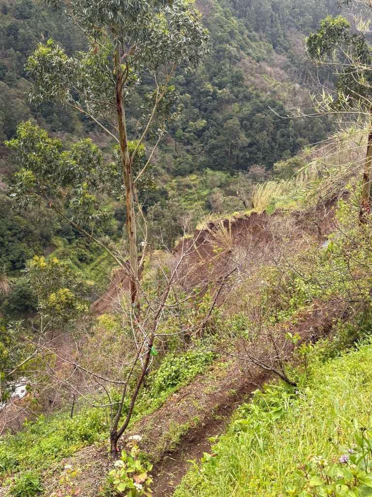 Derrocada na Seara Velha continua a gerar “medo e incerteza”