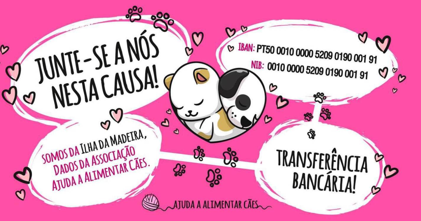 Associação Ajuda a Alimentar Cães pede donativos para salvar “o cantinho que salva vidas”