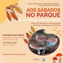 Parque Ecológico do Funchal: “Aos Sábados no Parque” dedica edição especial ao reino dos Fungos