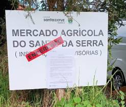 CDU critica retirada da tenda durante as obras do mercado agrícola do Santo da Serra
