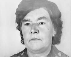 Cecília de Mendonça Freitas Luís