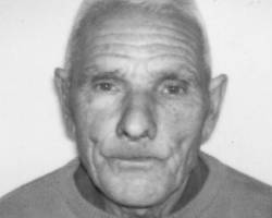 António Pedro Fernandes Manica