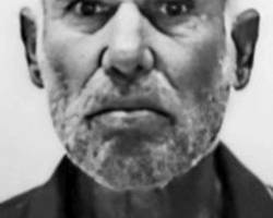 Avelino da Conceição de Freitas