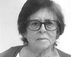 Maria José de Vasconcelos Rodrigues Freitas