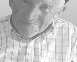 José Ferreira de Freitas