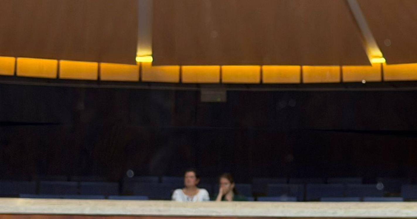 Presidente da associação “Ucrânia com Amor” acompanha trabalhos no parlamento madeirense