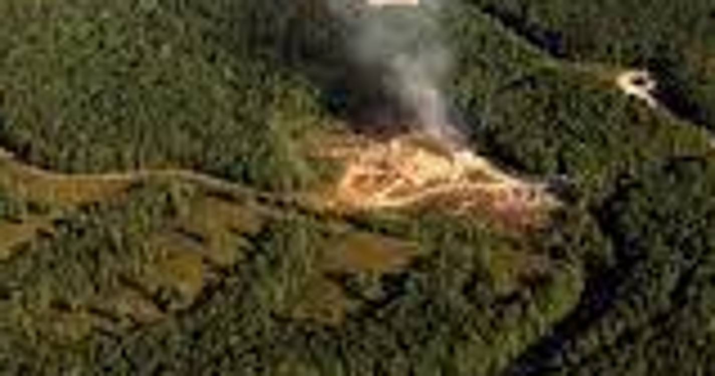 Autoridades procuram 19 pessoas desaparecidas após explosão de fábrica nos EUA