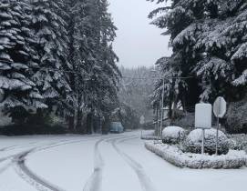 Veja as imagens do ‘quadro natural’ que a neve pintou no Poiso (fotogaleria)