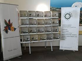 Associação Ornitológica da Madeira leva exposição de aves ao centro de dia de São Roque