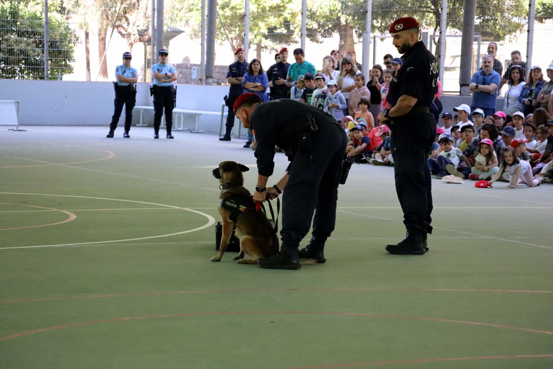 600 alunos da Ribeira Brava assinalaram hoje o Dia da Criança