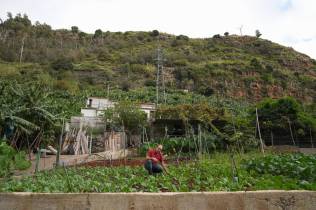 José Manuel Sousa passa os dias a cultivar, no vale da ribeira dos Socorridos.