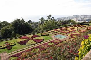Albuquerque nos 66 anos do Jardim Botânico