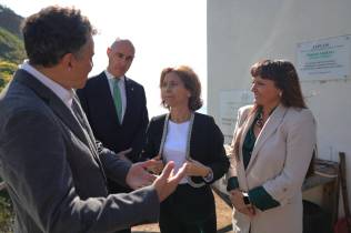 Caráter inovador do projeto ‘Gestos Verdes’ reforça inclusão e sustentabilidade