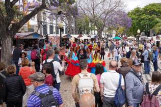Festa da Flor arranca esta quarta-feira e assinala 50 anos de Autonomia