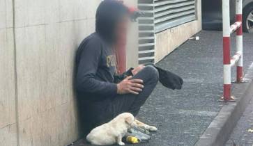 A Ajuda a Alimentar Cães fez a denúncia na sua página do Facebook.