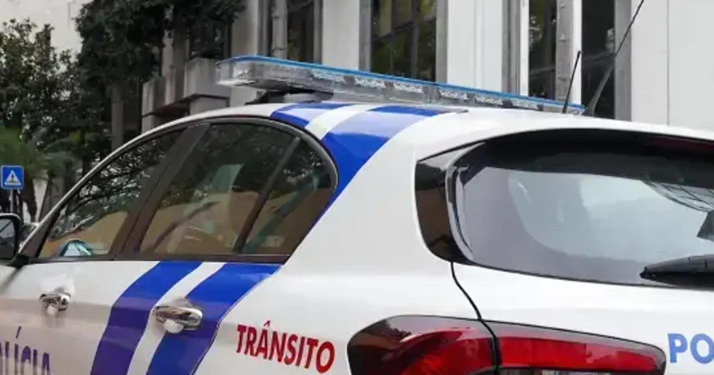 Bombeiros resgatam cão alegadamente atropelado no Monte