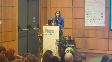 Investir na saúde pediátrica é “investir no desenvolvimento sustentável”