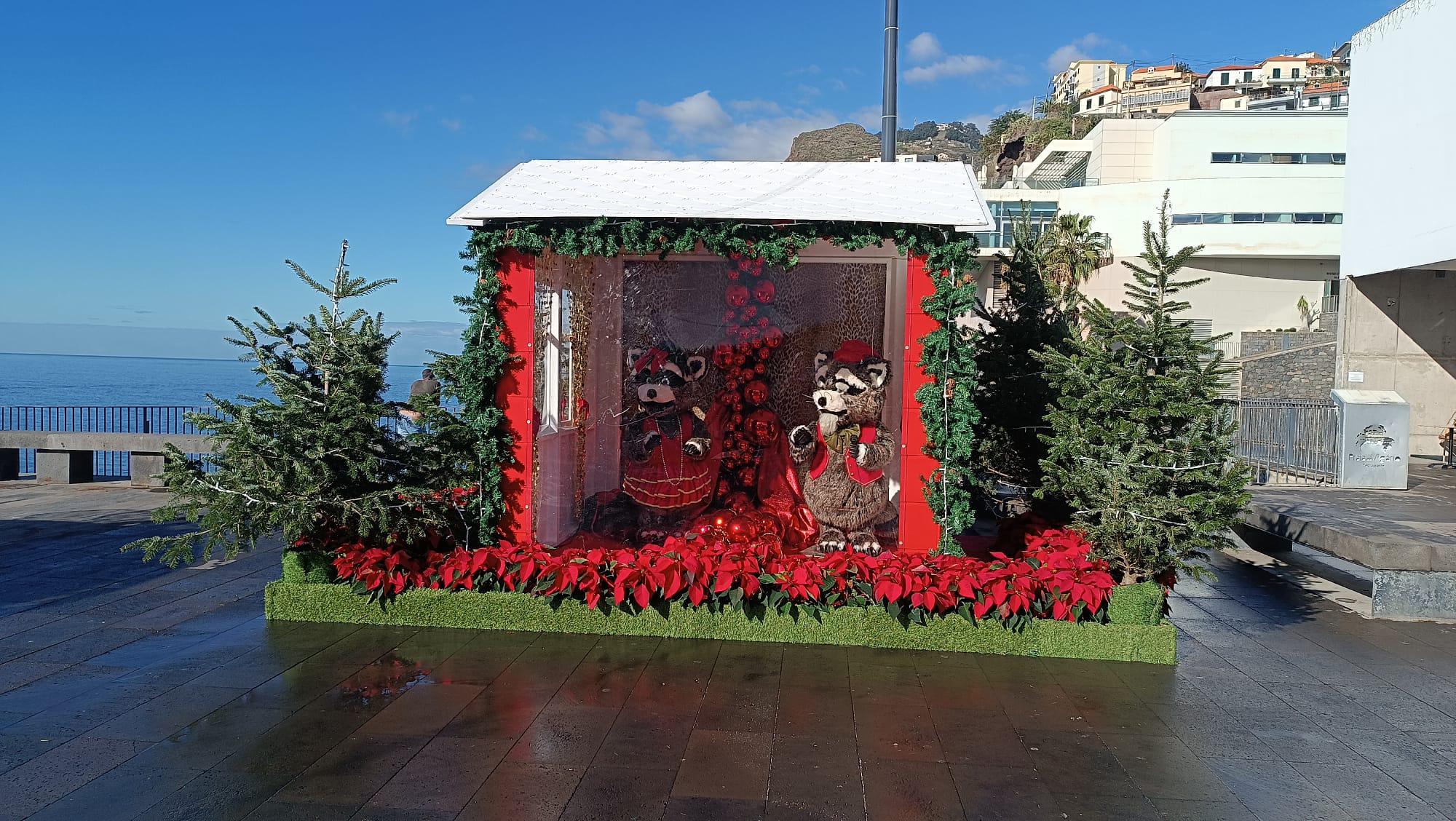 ‘A Festa’ começa hoje em Câmara de Lobos (com fotos)