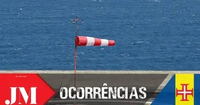 Queda de árvore bloqueia estrada em Machico