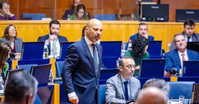 PSD reforça que plataforma tem de ser eficaz
