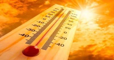 Ano de 2023 foi o segundo mais quente de sempre em Portugal segundo relatório do IPMA