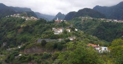 Queda de árvores nas Cruzinhas e Fajã da Nogueira esta manhã