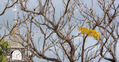 Relógios adiantam uma hora na próxima madrugada