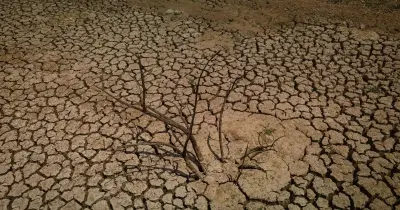 Solos superficiais guardam 45% mais carbono do que o estimado