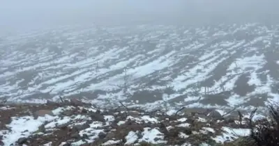 Seis distritos em aviso laranja para a queda de neve