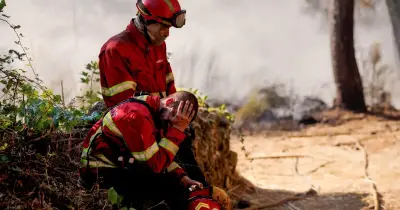 Incêndios: Fogo com início no concelho de Vinhais passou para lado espanhol.