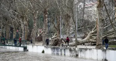 Soure com prejuízos de 25 milhões de euros