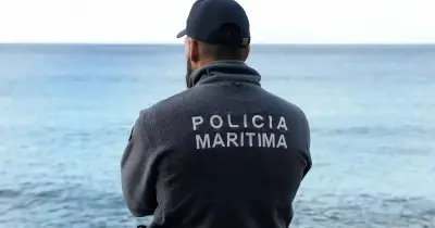Golfinho encontrado morto no mar do Caniço