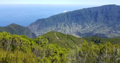 Cerimónia assinala encerramento das comemorações dos 25 anos da Laurissilva como Património Mundial.