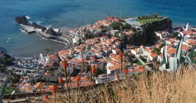 Câmara de Lobos transforma espaços comerciais em palcos de identidade madeirense